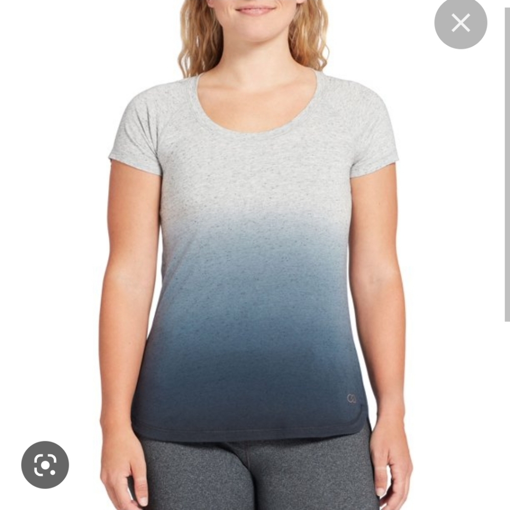 Calia Set of Two Dip Die Gray/Blue and Gray/Pink Ombre Tee-Shirts Medium